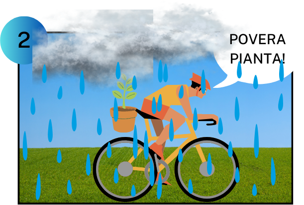 La pioggia e le foglie by Classe Quinta - Ourboox.com