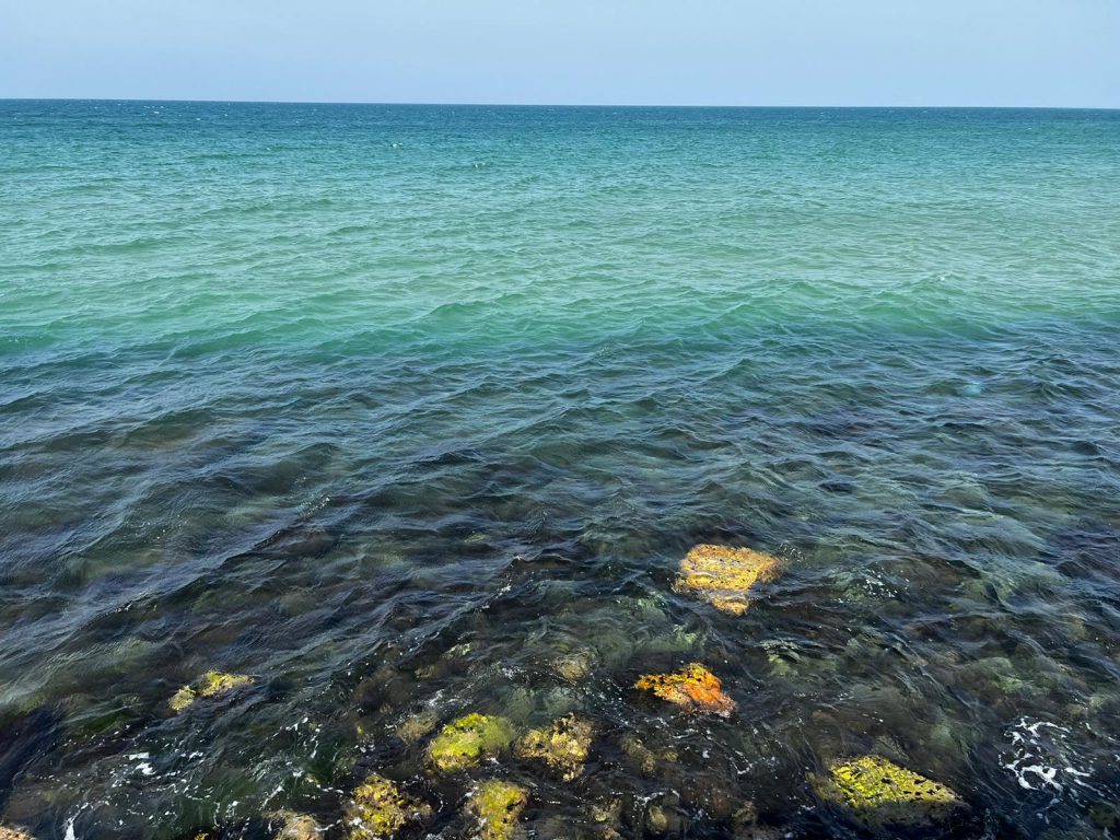 Resources for Picture Book Authors by Mel Rosenberg - מל רוזנברג - Ourboox.com