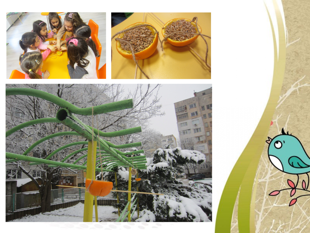 Образователен проект “Приятели на птиците” by група "Покемон" - Ourboox.com