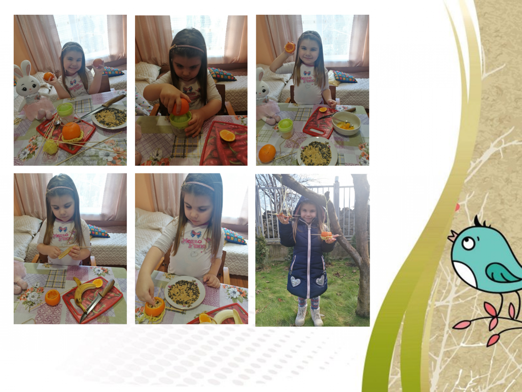 Образователен проект “Приятели на птиците” by група "Покемон" - Ourboox.com