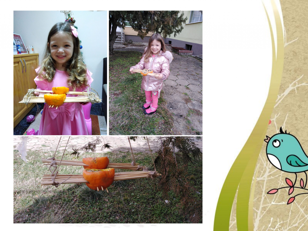 Образователен проект “Приятели на птиците” by група "Покемон" - Ourboox.com