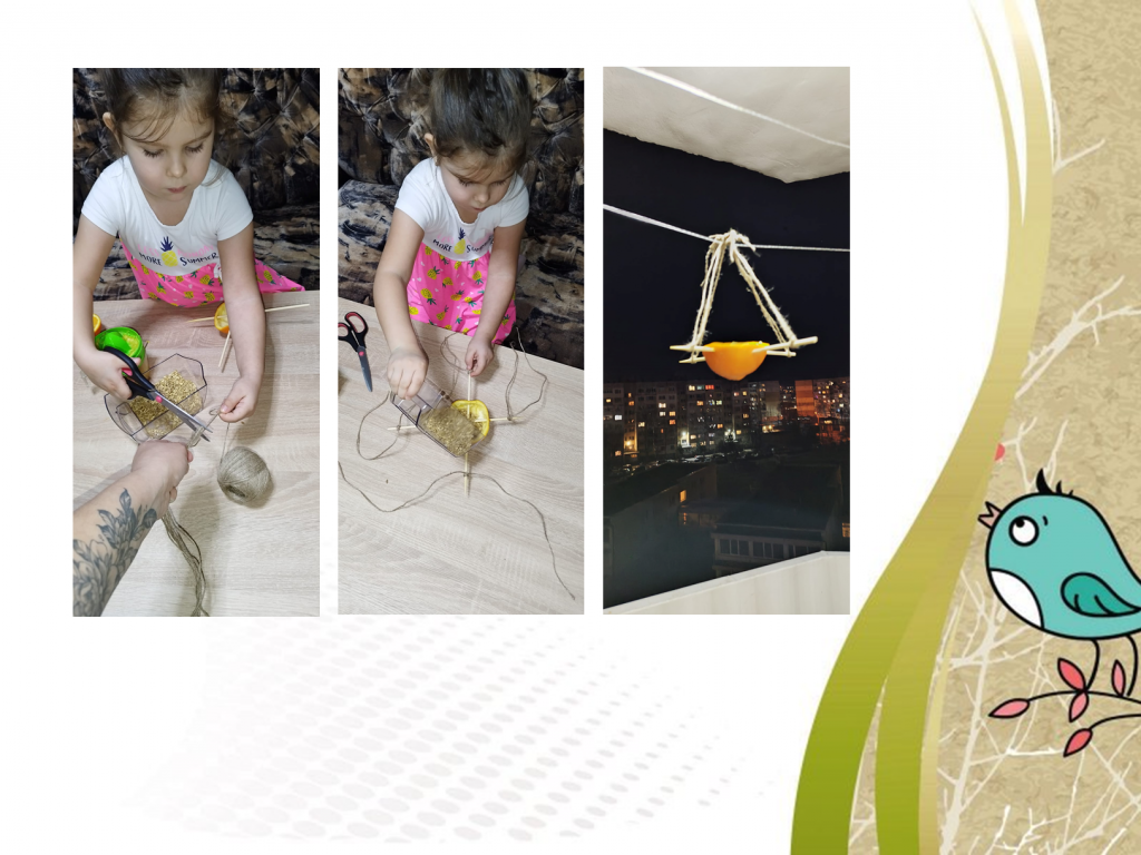 Образователен проект “Приятели на птиците” by група "Покемон" - Ourboox.com