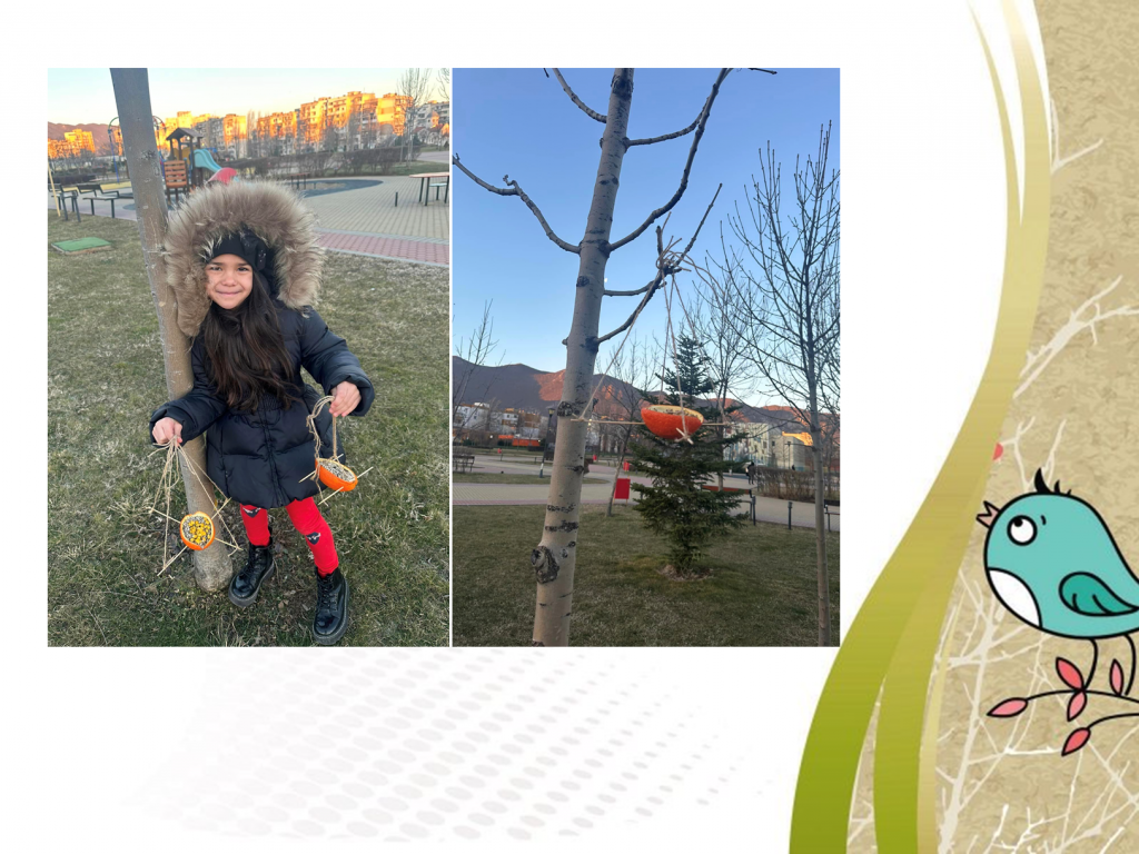 Образователен проект “Приятели на птиците” by група "Покемон" - Ourboox.com