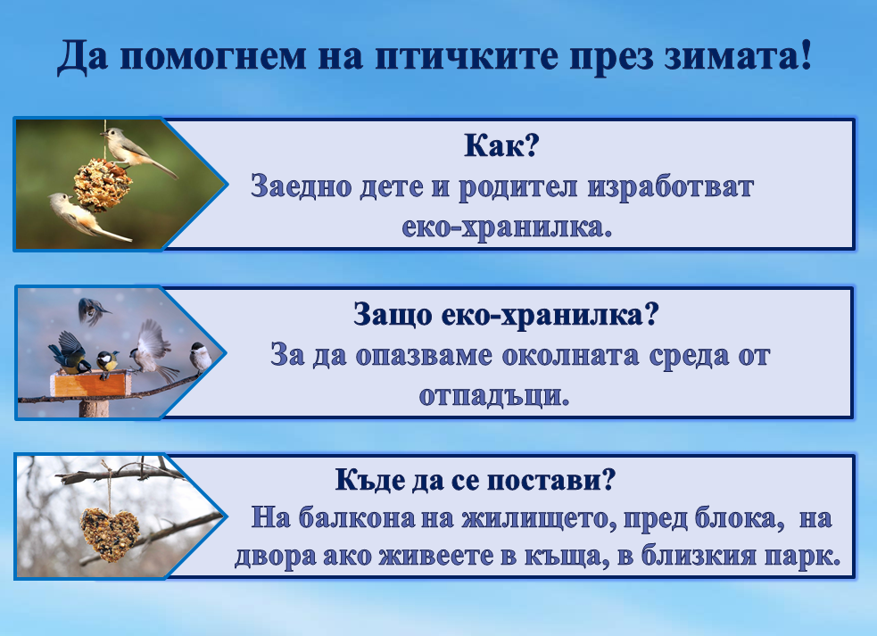 Образователен проект “Приятели на птиците” by група "Покемон" - Ourboox.com