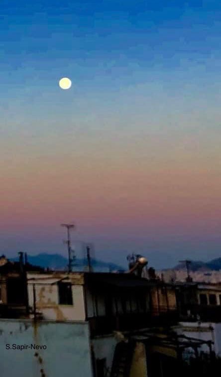 A Love Affair With Greece h by Shulamit Sapir-Nevo - Illustrated by Shulamit Sapir-Nevo - Ourboox.com