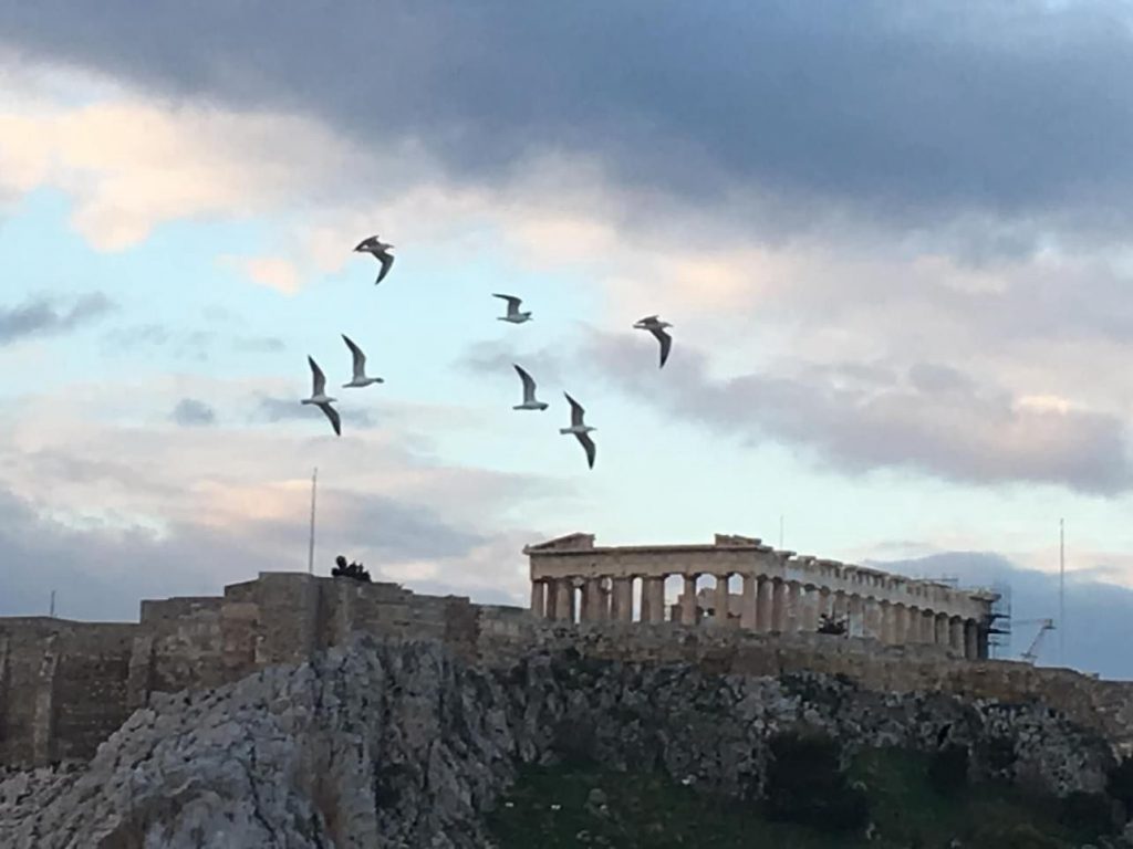 A Love Affair With Greece h by Shulamit Sapir-Nevo - Illustrated by Shulamit Sapir-Nevo - Ourboox.com