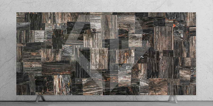 Black Petrified Wood