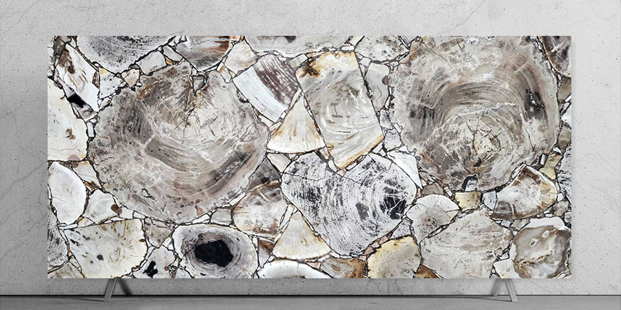 White Petrified Wood