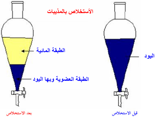 كراسة العلوم by malak - Illustrated by ملاك صح - Ourboox.com