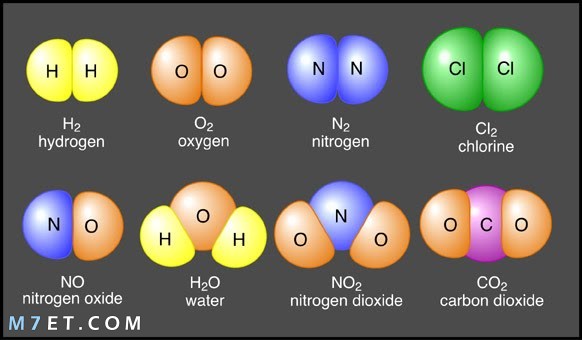 كراسة العلوم by malak - Illustrated by ملاك صح - Ourboox.com