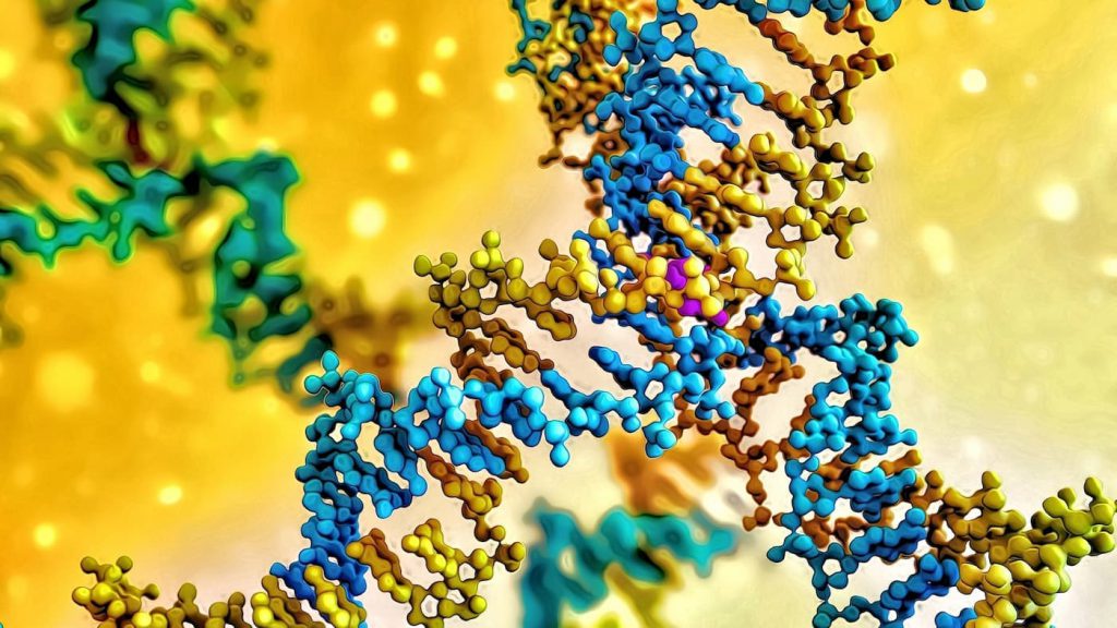 Білки by Natascha - Ourboox.com