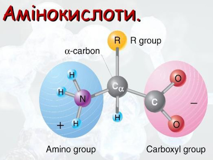 Білки by Natascha - Ourboox.com