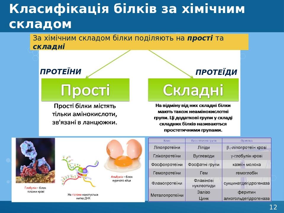 Білки by Natascha - Ourboox.com