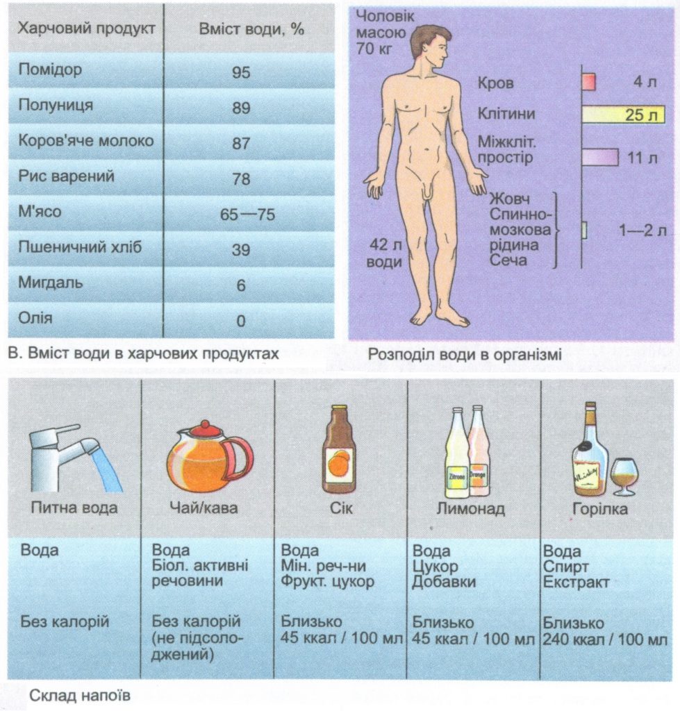 by Nadia - Ourboox.com