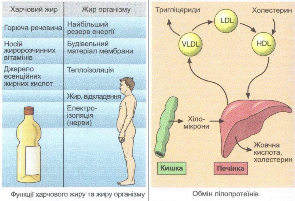 by Nadia - Ourboox.com