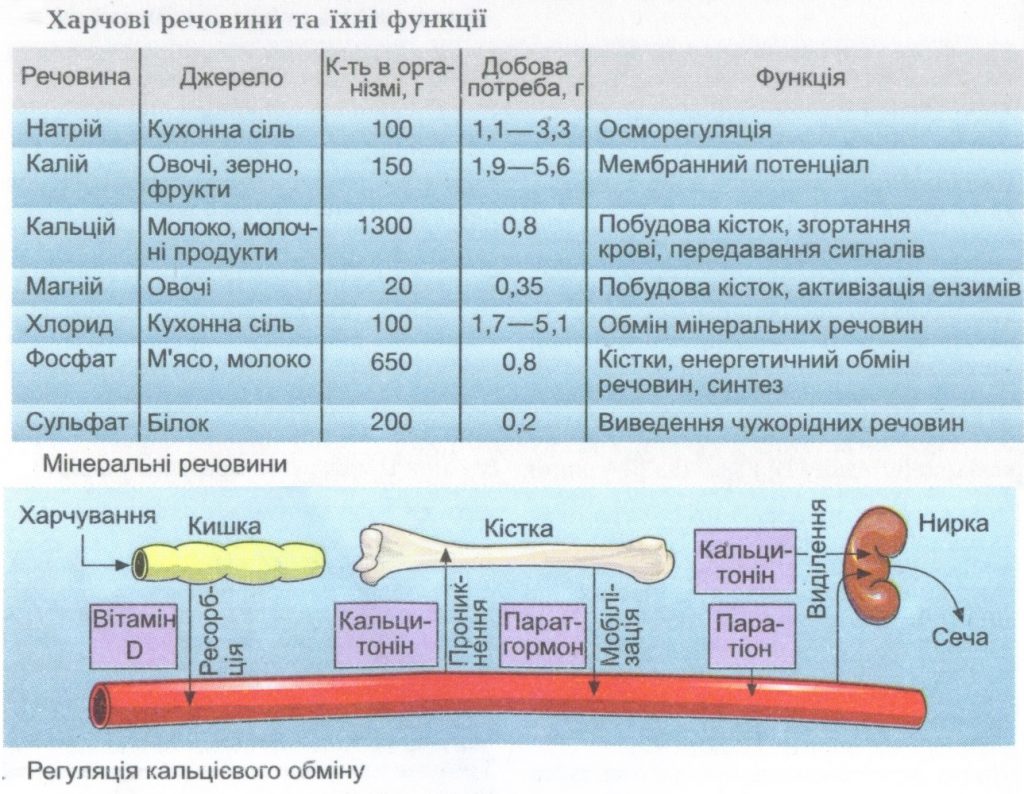 by Nadia - Ourboox.com