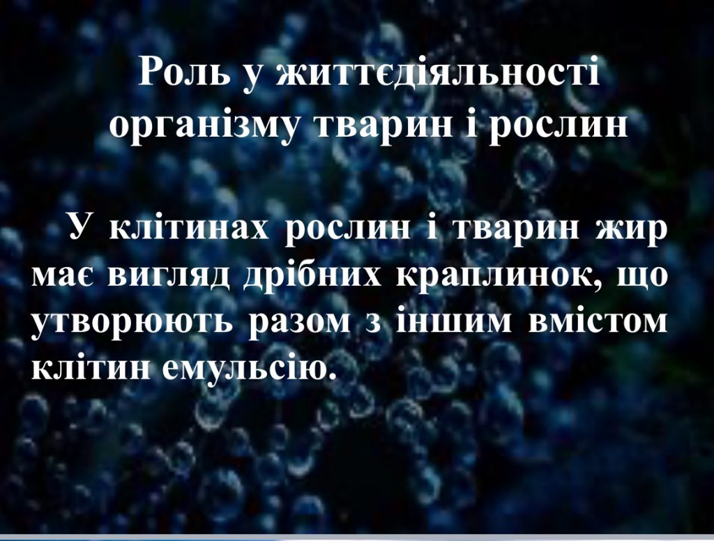 by Nadia - Ourboox.com