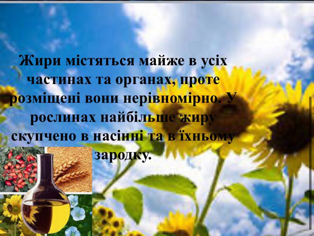 by Nadia - Ourboox.com