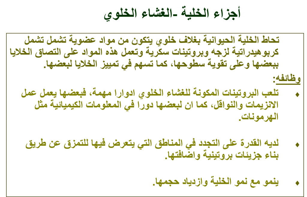 بيولوجيا الخلية by Taqwa - Illustrated by Taqwa Mare - Ourboox.com