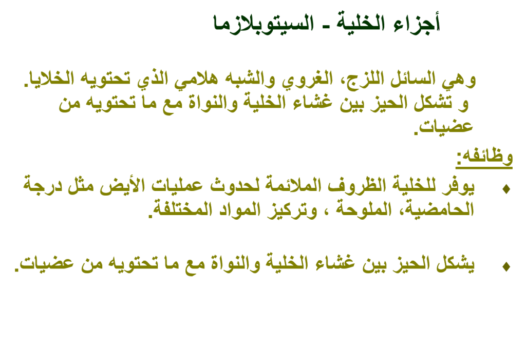 بيولوجيا الخلية by Taqwa - Illustrated by Taqwa Mare - Ourboox.com