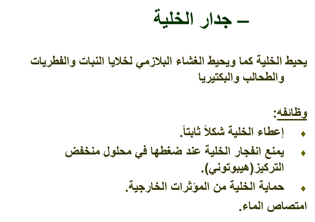 بيولوجيا الخلية by Taqwa - Illustrated by Taqwa Mare - Ourboox.com