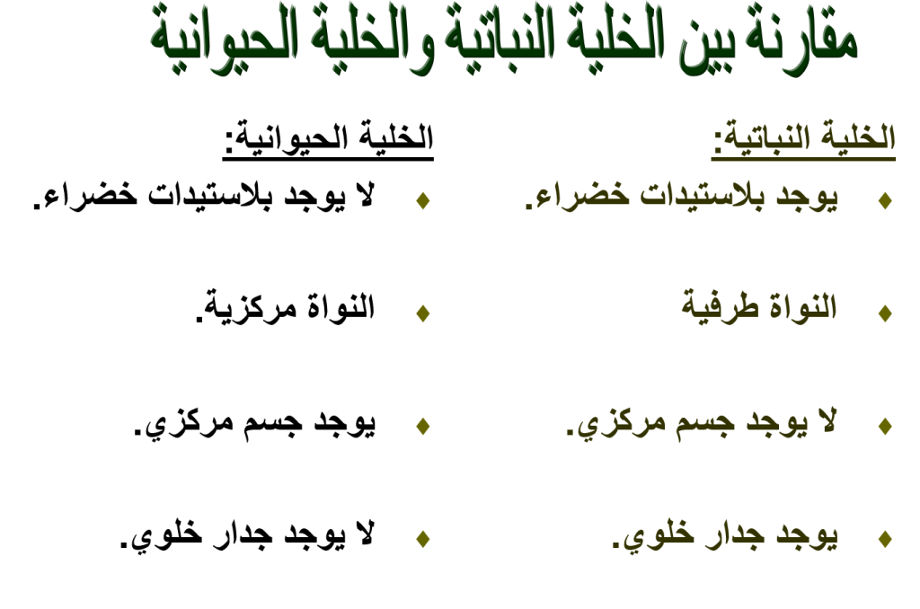 بيولوجيا الخلية by Taqwa - Illustrated by Taqwa Mare - Ourboox.com