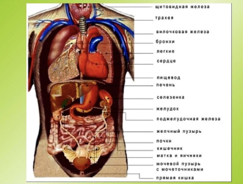 by Nadia - Ourboox.com