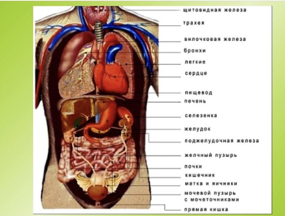 by Nadia - Ourboox.com