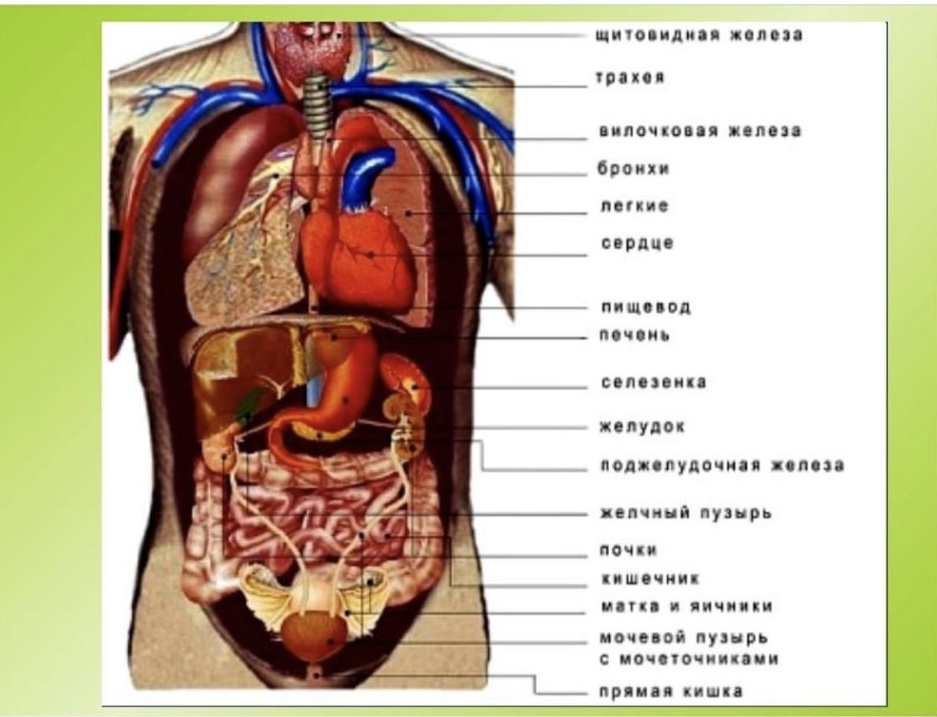 by Nadia - Ourboox.com