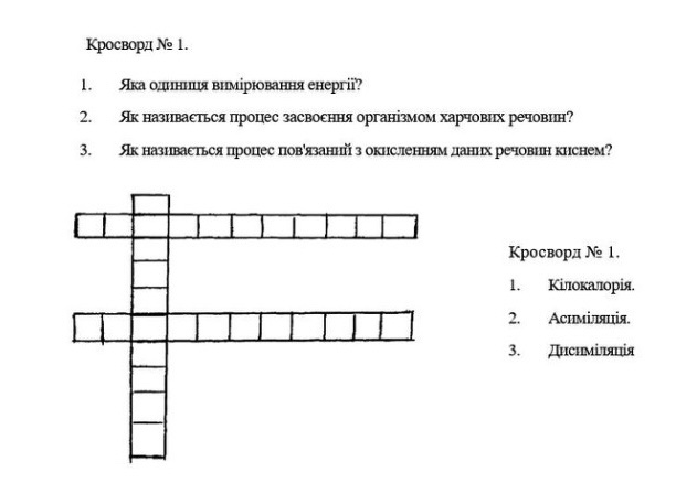 by Nadia - Ourboox.com