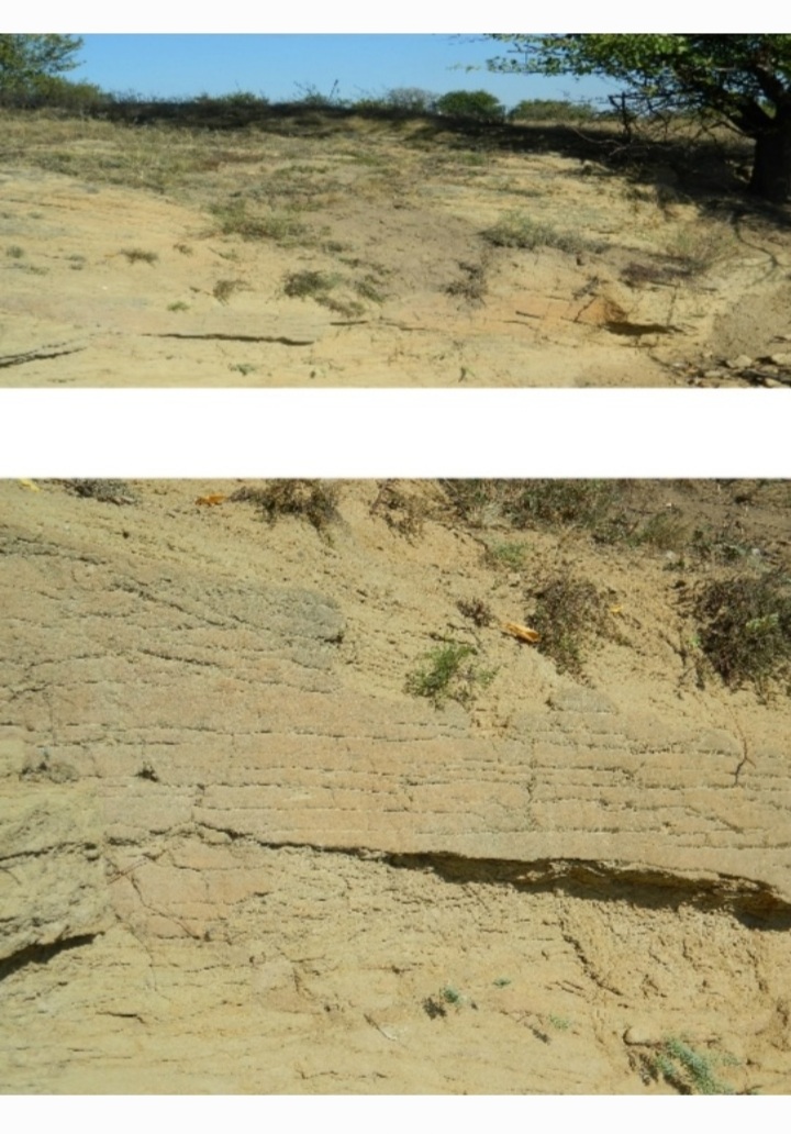 Стежками рідного краю by .Шановні дев’ятикласники! Відкриваючи цю збірку, ви поринете у світ величних особистостей, які своєю творчістю залишили незнищенний слід в українській літературі та в наших серцях. Іван Франко, Тарас Шевченко, Ліна Костенко, Василь Стус – ці імена є символами незламного духу, мудрості та відданості рідному слову. На сторінках цієї збірки ви зможеш не лише дізнатися про життєвий шлях видатних митців, але й відкрити для себе маловідомі факти, глибше зрозуміти їхні думки, переживання та прагнення. Кожен із них – голос своєї епохи, і водночас вони всі – голос України, що звучить крізь століття. Відкрийте для себе Україну – через слово її найвидатніших митців. - Ourboox.com