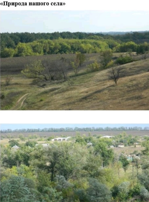 Стежками рідного краю by .Шановні дев’ятикласники! Відкриваючи цю збірку, ви поринете у світ величних особистостей, які своєю творчістю залишили незнищенний слід в українській літературі та в наших серцях. Іван Франко, Тарас Шевченко, Ліна Костенко, Василь Стус – ці імена є символами незламного духу, мудрості та відданості рідному слову. На сторінках цієї збірки ви зможеш не лише дізнатися про життєвий шлях видатних митців, але й відкрити для себе маловідомі факти, глибше зрозуміти їхні думки, переживання та прагнення. Кожен із них – голос своєї епохи, і водночас вони всі – голос України, що звучить крізь століття. Відкрийте для себе Україну – через слово її найвидатніших митців. - Ourboox.com