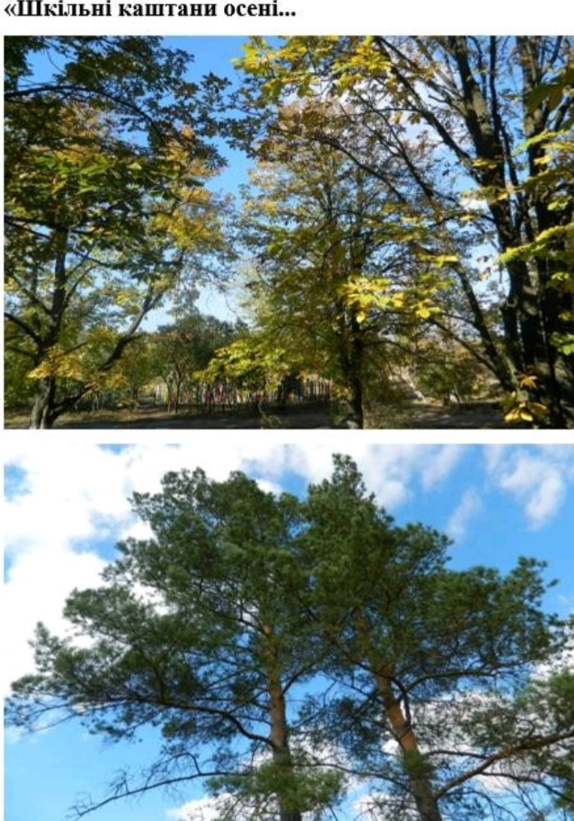 Стежками рідного краю by .Шановні дев’ятикласники! Відкриваючи цю збірку, ви поринете у світ величних особистостей, які своєю творчістю залишили незнищенний слід в українській літературі та в наших серцях. Іван Франко, Тарас Шевченко, Ліна Костенко, Василь Стус – ці імена є символами незламного духу, мудрості та відданості рідному слову. На сторінках цієї збірки ви зможеш не лише дізнатися про життєвий шлях видатних митців, але й відкрити для себе маловідомі факти, глибше зрозуміти їхні думки, переживання та прагнення. Кожен із них – голос своєї епохи, і водночас вони всі – голос України, що звучить крізь століття. Відкрийте для себе Україну – через слово її найвидатніших митців. - Ourboox.com