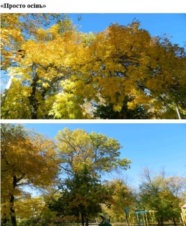 Стежками рідного краю by .Шановні дев’ятикласники! Відкриваючи цю збірку, ви поринете у світ величних особистостей, які своєю творчістю залишили незнищенний слід в українській літературі та в наших серцях. Іван Франко, Тарас Шевченко, Ліна Костенко, Василь Стус – ці імена є символами незламного духу, мудрості та відданості рідному слову. На сторінках цієї збірки ви зможеш не лише дізнатися про життєвий шлях видатних митців, але й відкрити для себе маловідомі факти, глибше зрозуміти їхні думки, переживання та прагнення. Кожен із них – голос своєї епохи, і водночас вони всі – голос України, що звучить крізь століття. Відкрийте для себе Україну – через слово її найвидатніших митців. - Ourboox.com