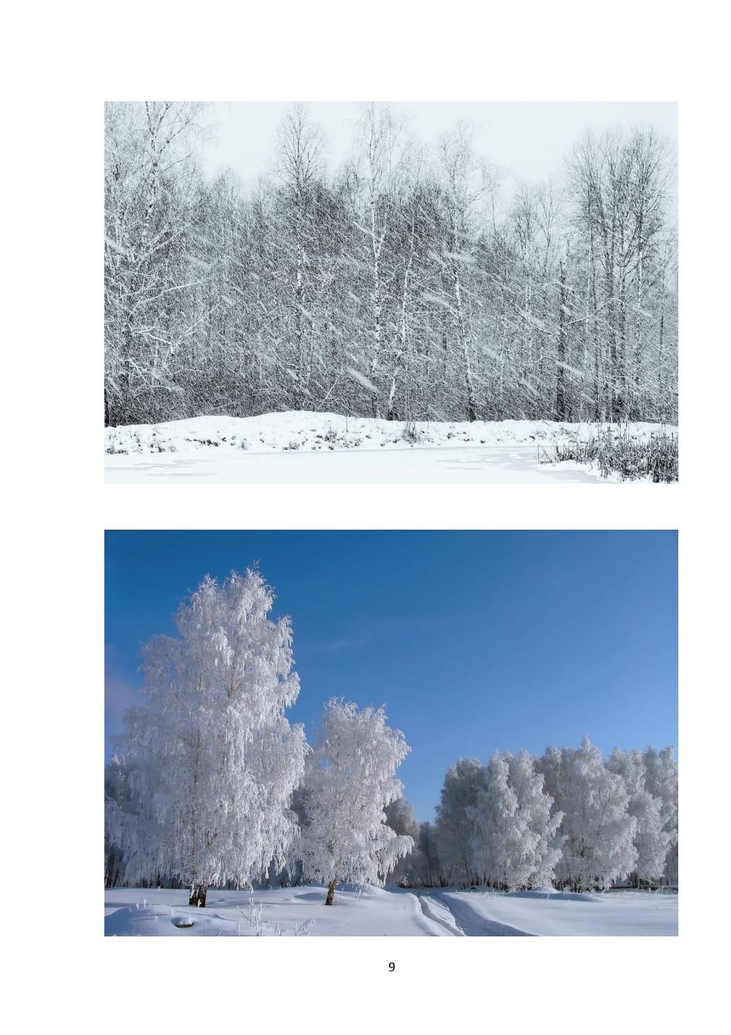 by Stepnogorsk - Illustrated by СТЕПНОГОРСК - Ourboox.com