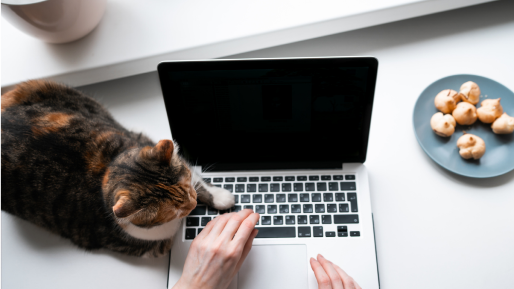 Мої ТАК-правила для ефективного навчання на спецкурсі by Kolisnichenko - Illustrated by Колісниченко Дарія - Ourboox.com