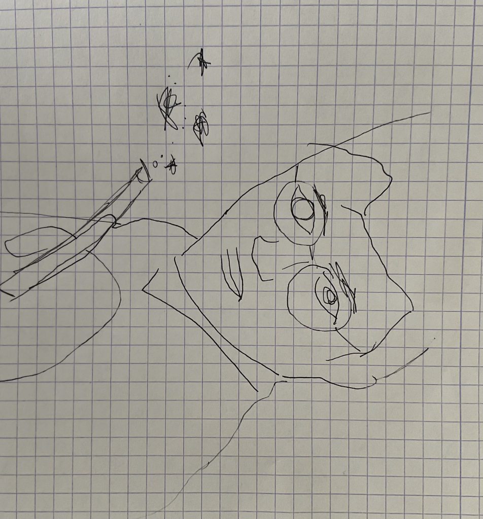 Book report by Roni Robas - Ourboox.com