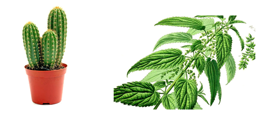 Енциклопеділя для Чомучок by Julia - Ourboox.com