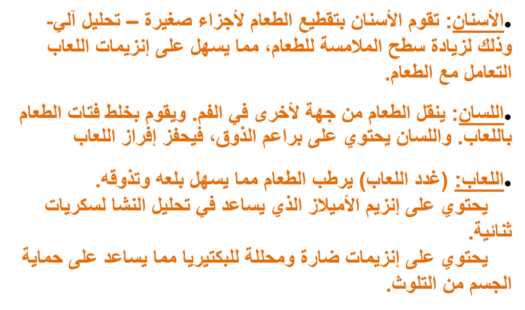 كراسة العلوم – جهاز الهضم by EMAN - Illustrated by ايمان عوض - Ourboox.com