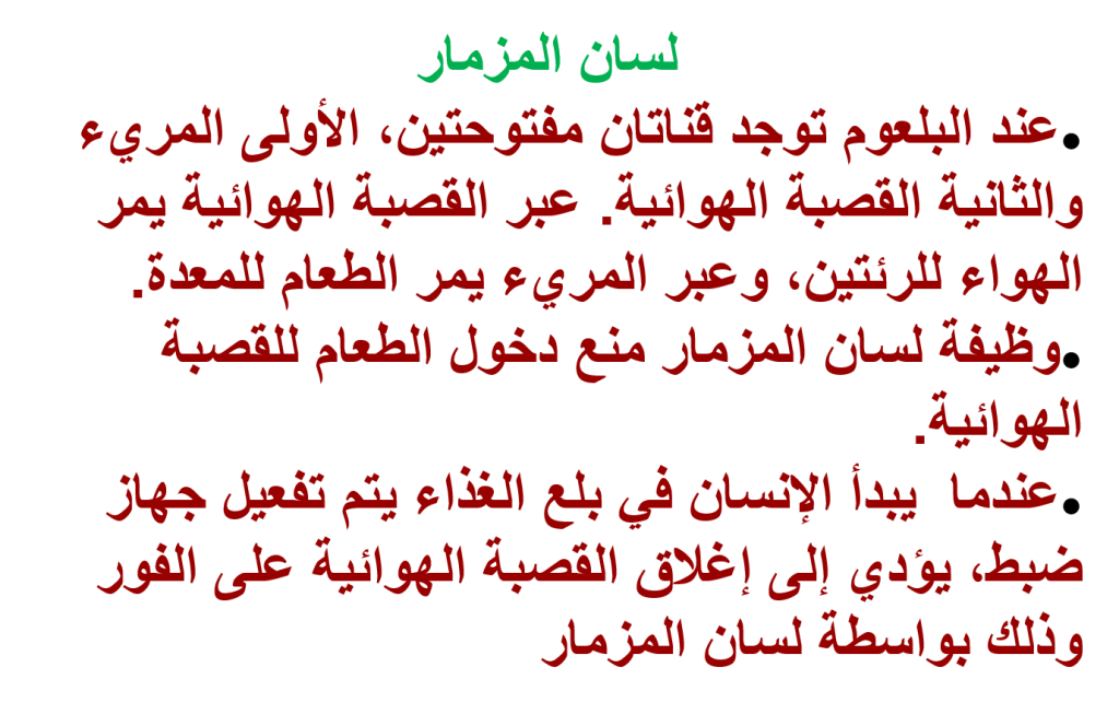 كراسة العلوم – جهاز الهضم by EMAN - Illustrated by ايمان عوض - Ourboox.com