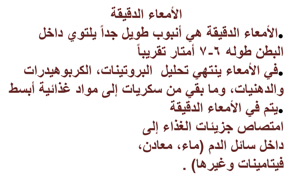 كراسة العلوم – جهاز الهضم by EMAN - Illustrated by ايمان عوض - Ourboox.com