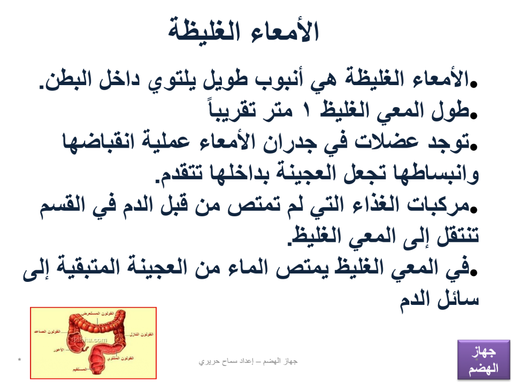 كراسة العلوم – جهاز الهضم by EMAN - Illustrated by ايمان عوض - Ourboox.com