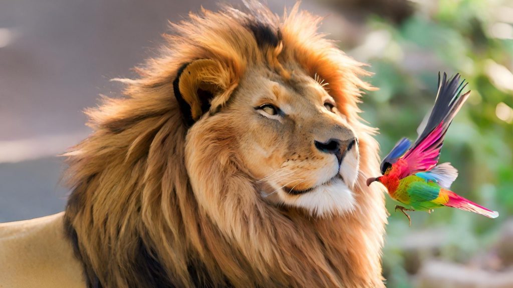 סיימון מלך החיות by Ola Abud - Illustrated by עולא עבוד - Ourboox.com