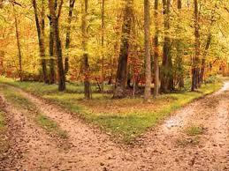 The Road not Taken by anas  - Ourboox.com