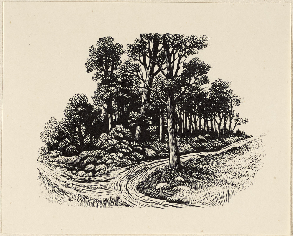 The Road not Taken by anas mohammed yousef - Ourboox.com