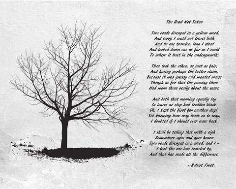 The Road not Taken by tasnem fadi asadi - Ourboox.com