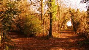 the road not taken by khaled - Ourboox.com