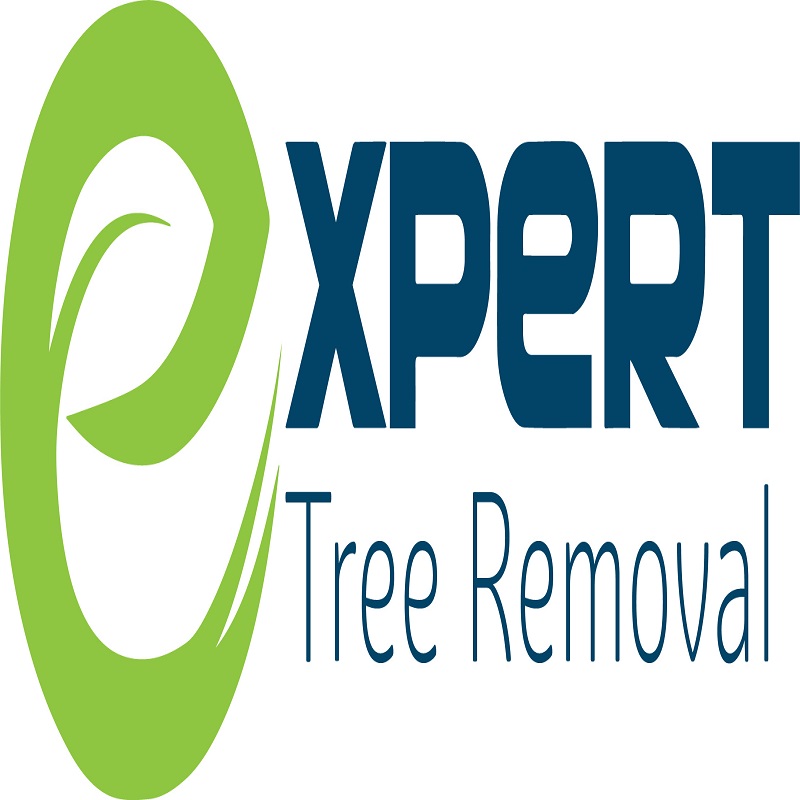 Expert Tree Removal Pty Ltd by Joshua Kent - Ourboox.com