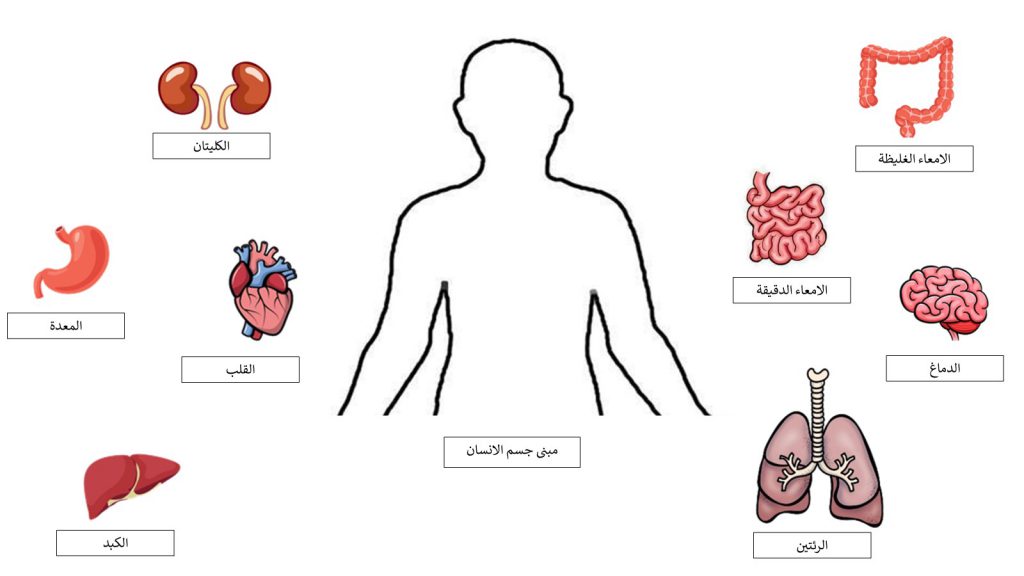 رحلة للتعرف على جسم الانسان by Arees Zidan - Illustrated by أريس زيدان - Ourboox.com