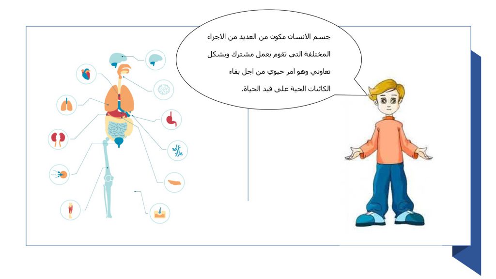 رحلة للتعرف على جسم الانسان by Arees Zidan - Illustrated by أريس زيدان - Ourboox.com